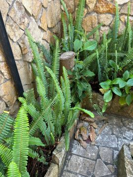 Gardener - Home Improvements