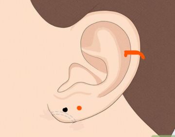 Loja de Piercings