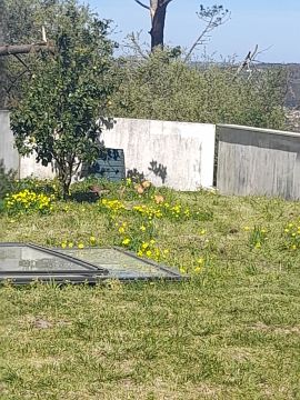 Serviço de Jardinagem