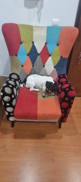 Upholstery Service