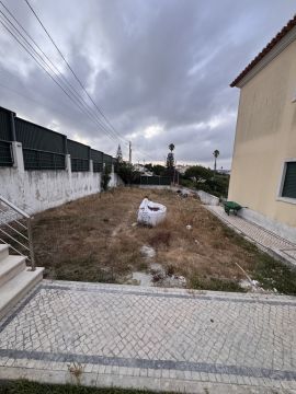 Serviço de Jardinagem