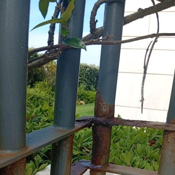 Construhelp - Torres Vedras - Pintura de Prédios
