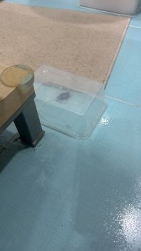 Empresa de Controlo de Pragas