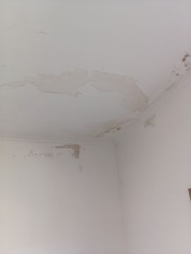 Pintura de Casas