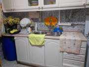 Pest Control Services