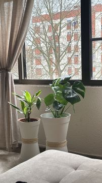 Ventanas - Hogar