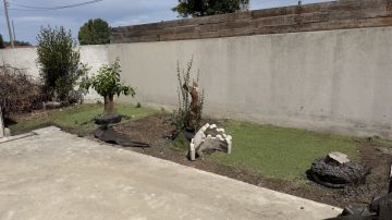 Serviço de Jardinagem