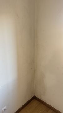 Pintor de Casas