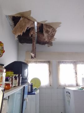 Drop Ceiling professional