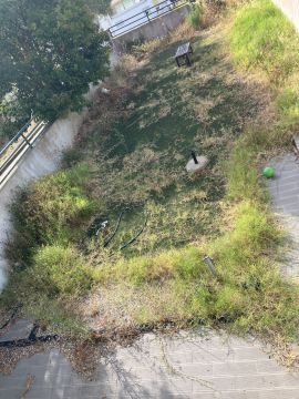 Jardinagem