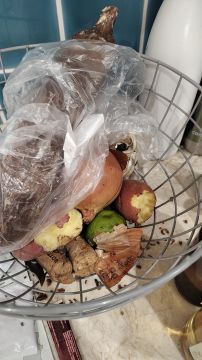 Schädlingsbekämpfung