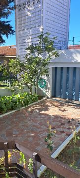 Jardinage et pelouses