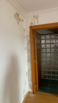 Jardinagem e Relvados