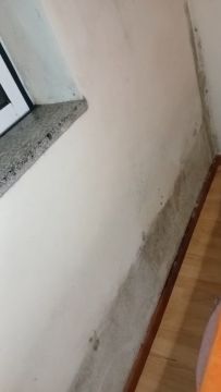 Pintura