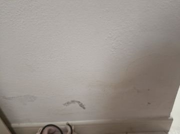 Pintor de Casas - Casa