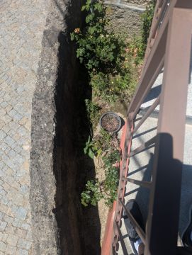 Serviço de Jardinagem