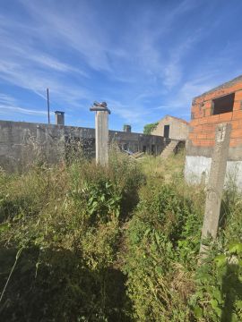 Jardinagem - Jardinagem e Relvados