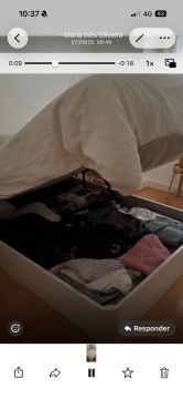 Transportadora de Móveis