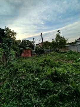 Especialista de Limpeza de Terrenos