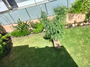 Gardener