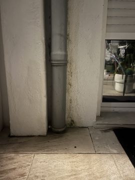 Outdoor Plumbing Repair or Maintenance