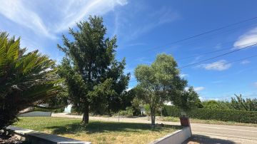 Serviço de Jardinagem