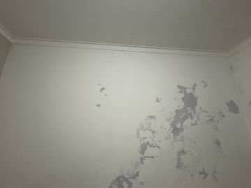Pintor de Casas