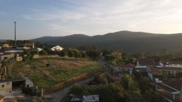 Especialista de Limpeza de Terrenos