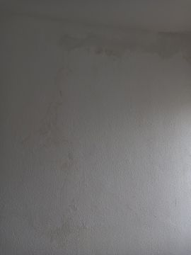 Waterproofing Specialist