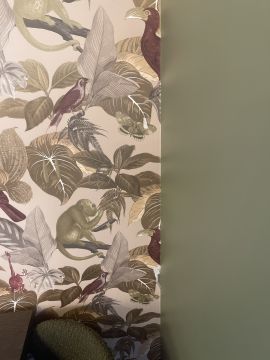 Wallpaper Removal