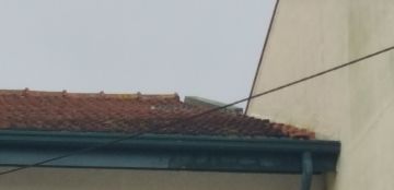 Telhados e Coberturas