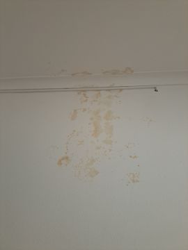 Pintura de Interiores - Pintura