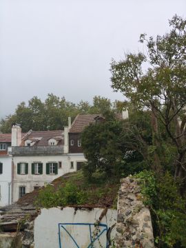 Serviço de Jardinagem