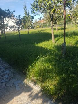 Gartenarbeiten