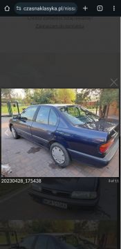 Car Paint
