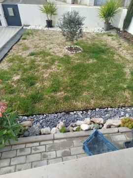 Spezialisten für Kunstrasen