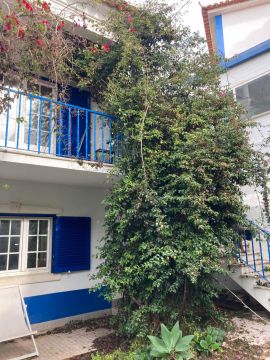 Jardinagem e Relvados - Casa