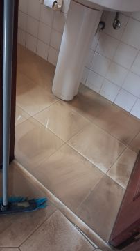 Limpeza