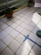 Roof Repair or Maintenance