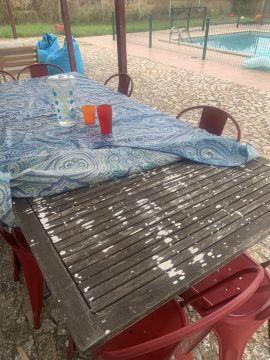 Restaurador