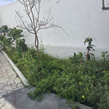 Paisagista