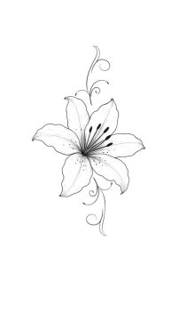Tatuador