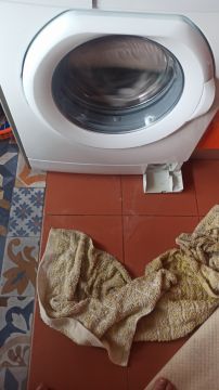 Washing Machine Repairman