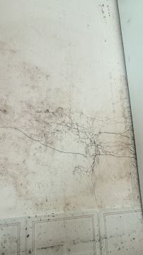 Pintura de Interiores - Pintura