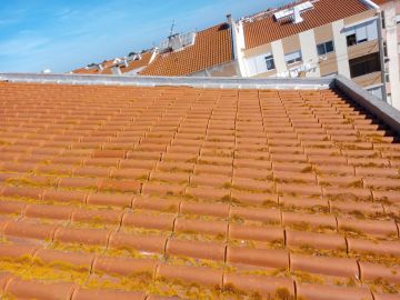 Roof Installation Professional