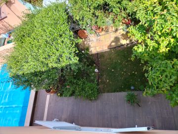 Gardening