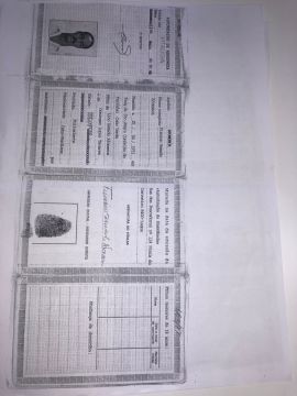 Genealogista