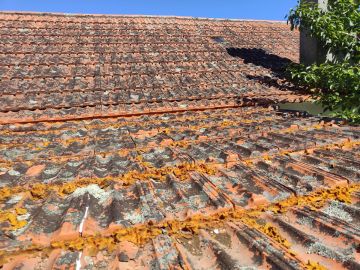 Techador para la instalación o reemplazo de tejados - Hogar