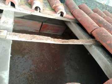 Telhados e Coberturas