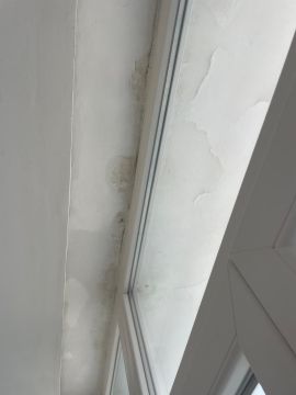Spezialist für Handwerksarbeiten